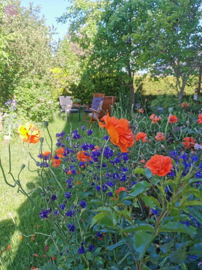 Gartenwohnung Paulsdorf ディポルディスヴァルト エクステリア 写真