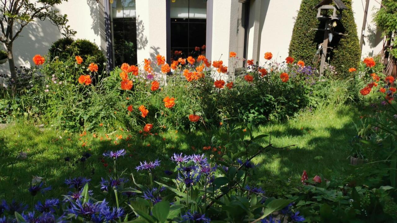 Gartenwohnung Paulsdorf ディポルディスヴァルト エクステリア 写真