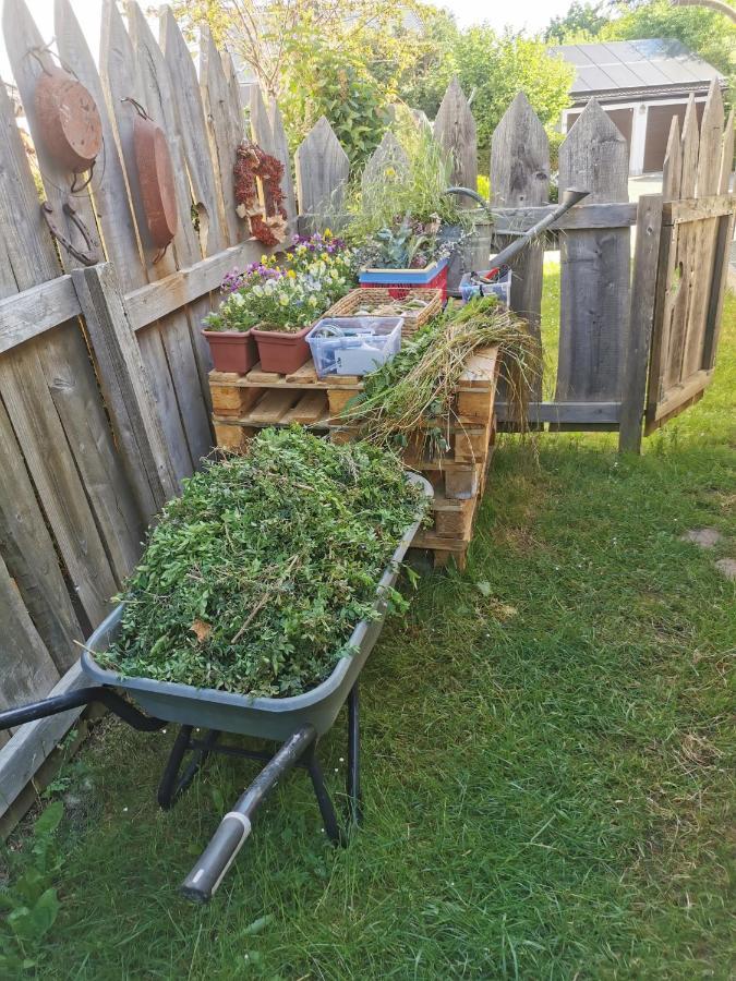 Gartenwohnung Paulsdorf ディポルディスヴァルト エクステリア 写真